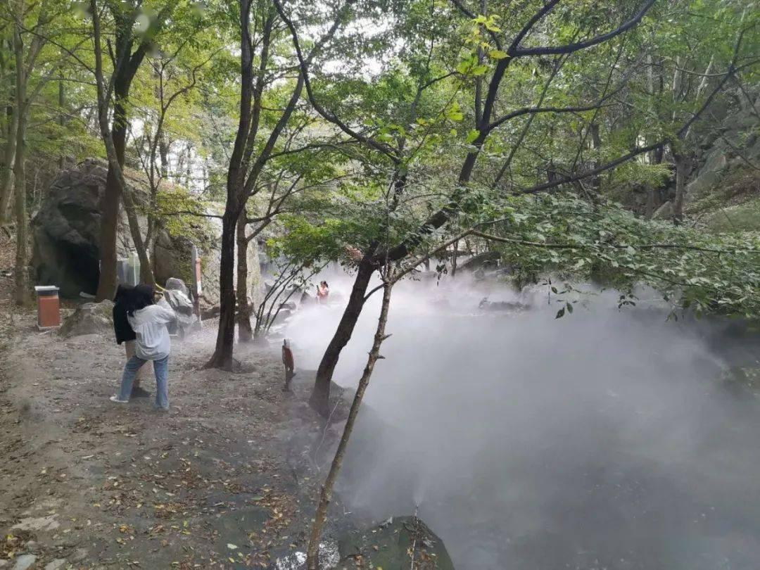云南曲靖麒麟区：缤纷年货传递浓浓年味儿
